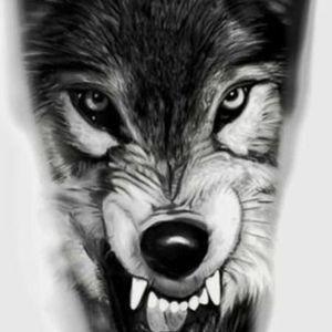 Meet your Posher, Charles